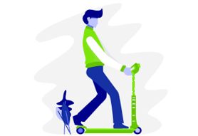 Blue Fox IT Systems
